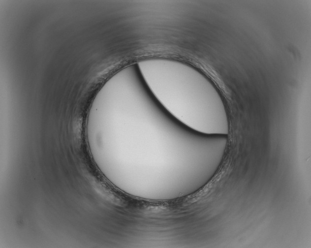 X0000111250066200907021028