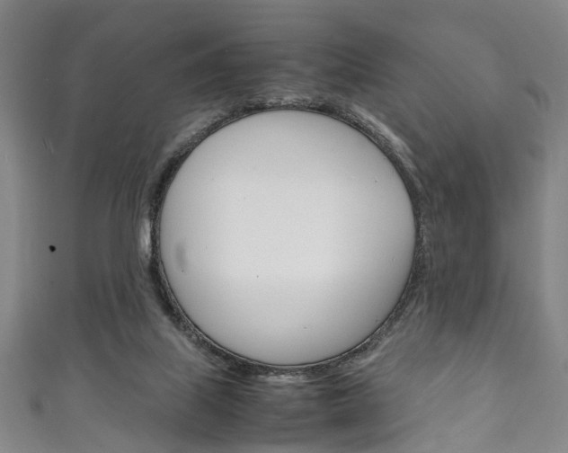 X0000111250067200907021028