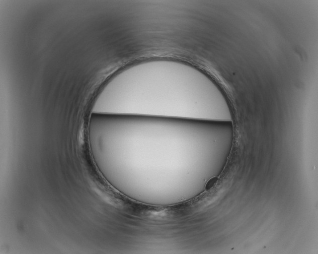 X0000111250068200907021028