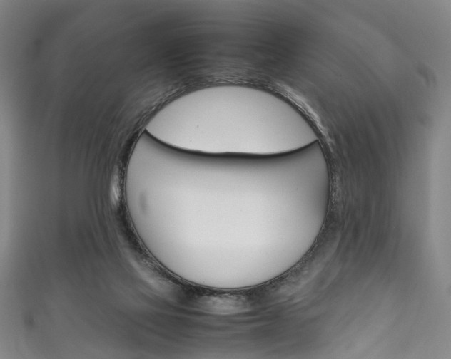 X0000111250069200907021028