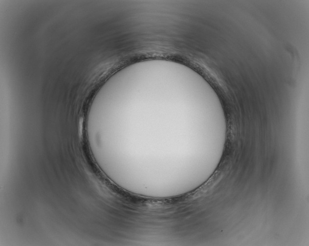 X0000111250070200907021028