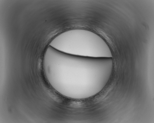 X0000111250071200907021028