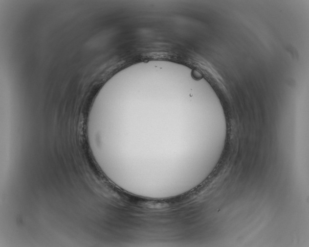 X0000111250073200907021028