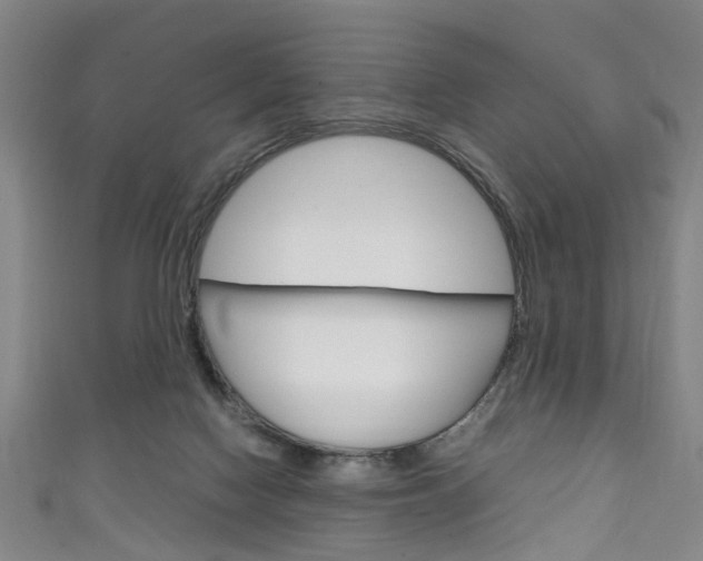 X0000111250074200907021028