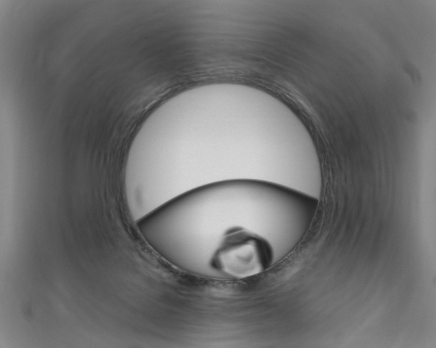X0000111250076200907021028
