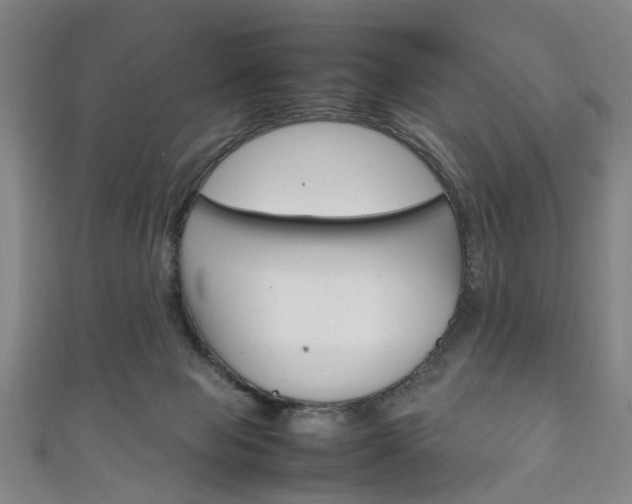 X0000111250077200907021028