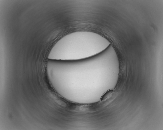 X0000111250078200907021028