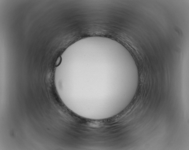 X0000111250079200907021028