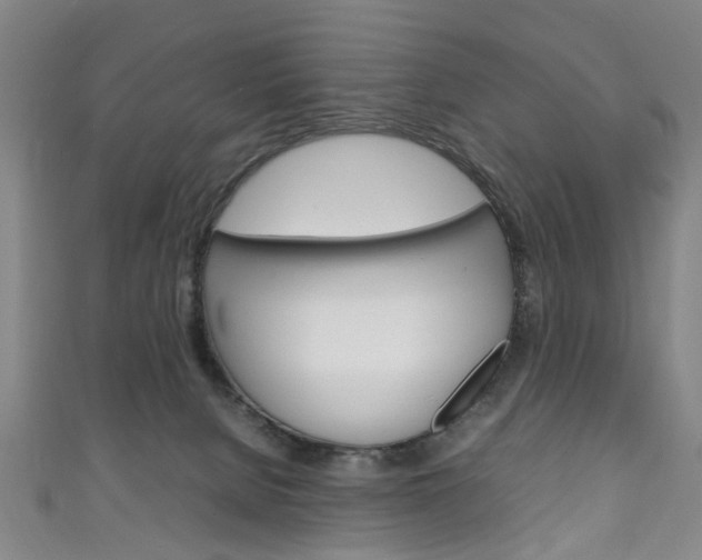 X0000111250080200907021028