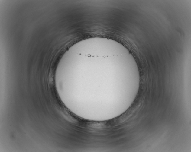 X0000111250081200907021028