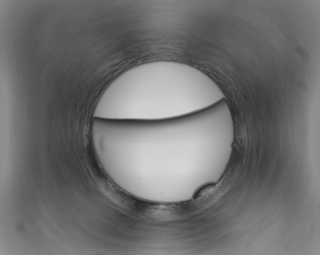 X0000111250082200907021028