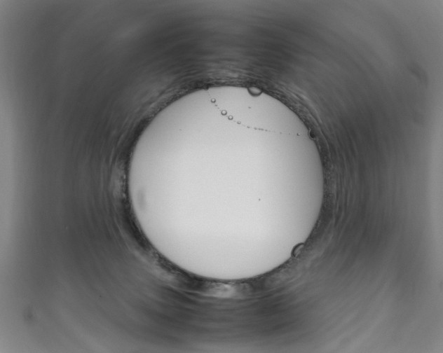 X0000111250083200907021028