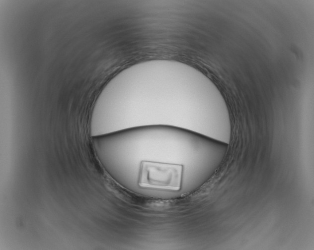 X0000111250084200907021028