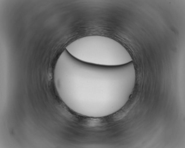 X0000111250085200907021028