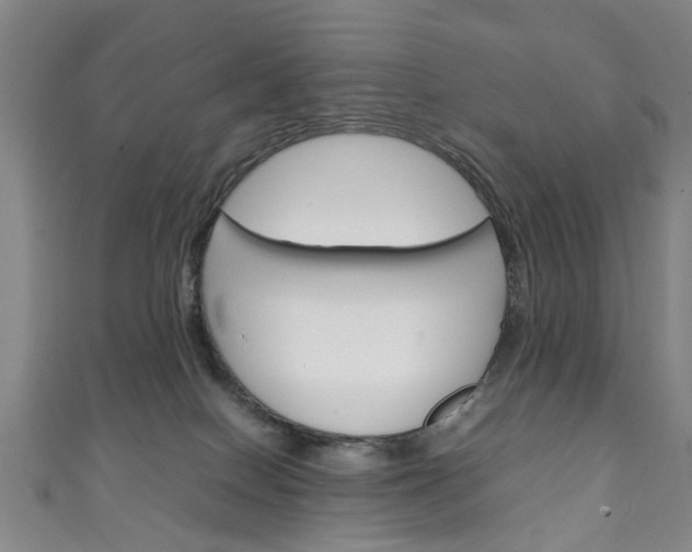 X0000111250086200907021028
