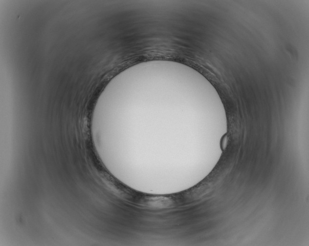 X0000111250087200907021028