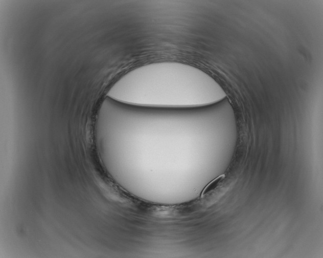 X0000111250088200907021028
