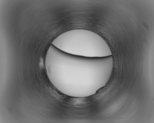X0000111250089200907021028