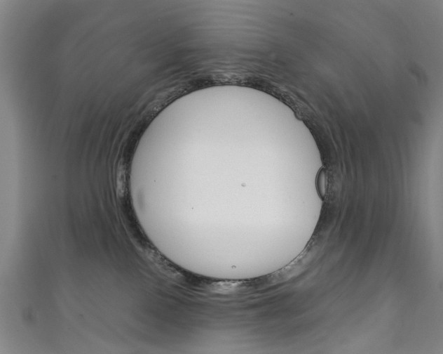 X0000111250090200907021028
