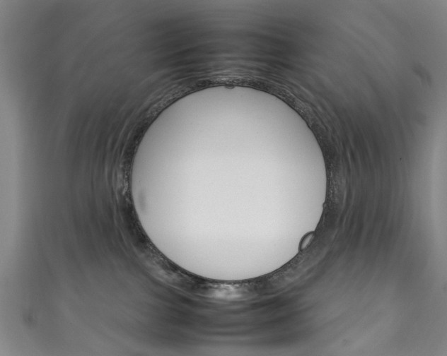 X0000111250091200907021028