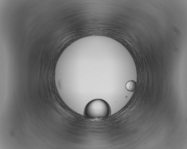 X0000111250092200907021028