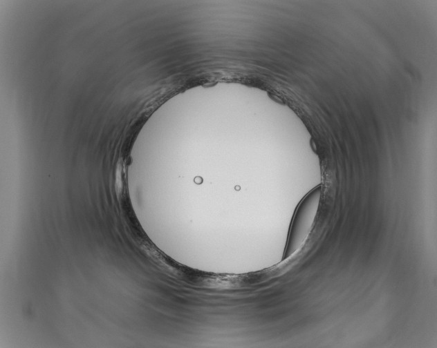 X0000111250094200907021028
