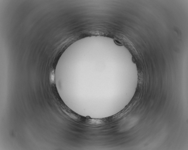 X0000111250095200907021028