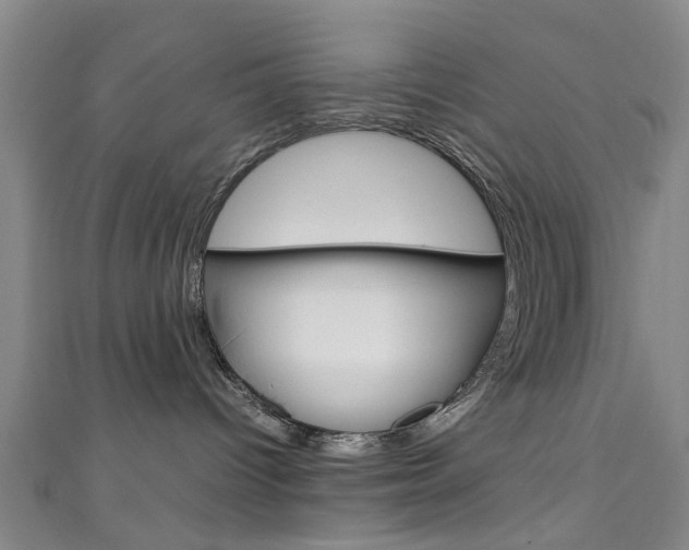 X0000111250096200907021028