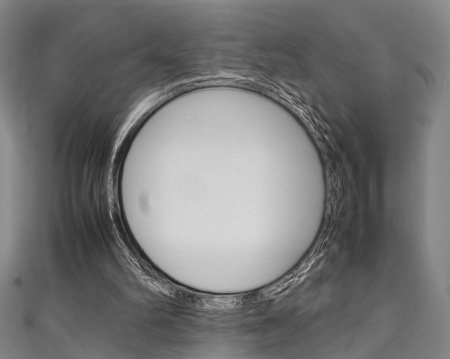 X0000111250102200907021028