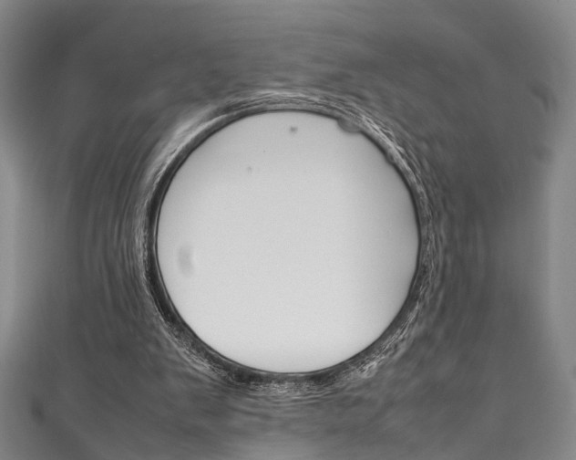 X0000111250103200907021028
