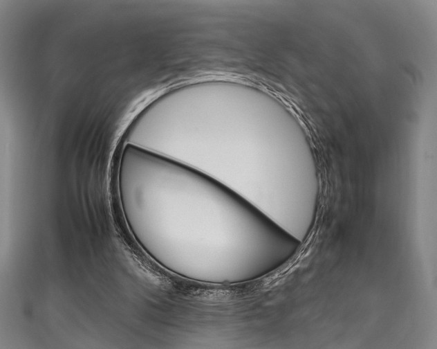 X0000111250104200907021028