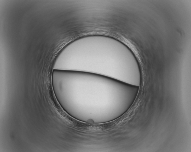 X0000111250105200907021028
