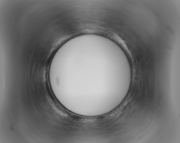 X0000111250106200907021028