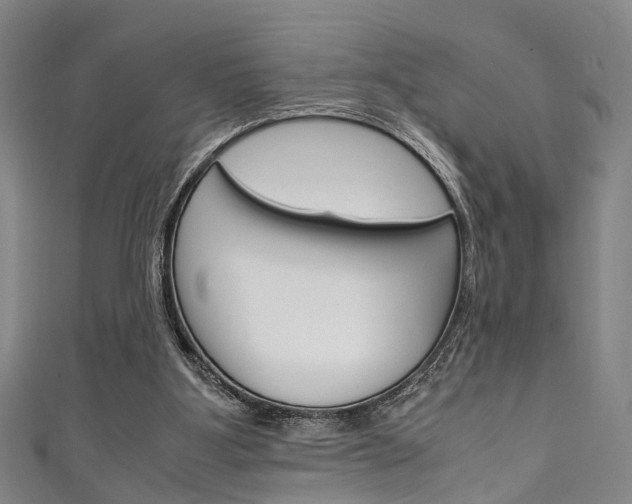 X0000111250107200907021028