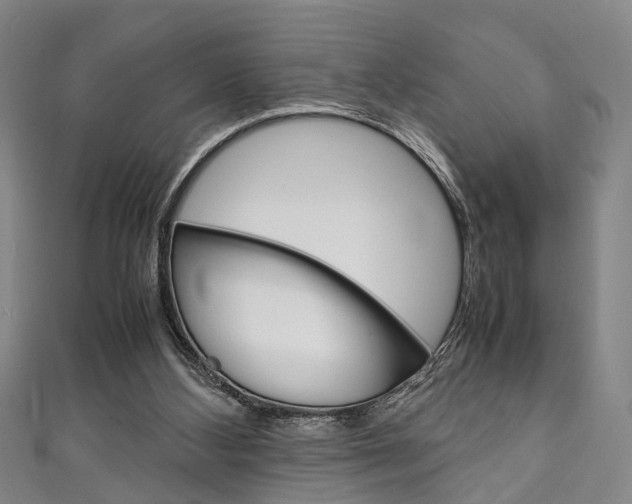 X0000111250108200907021028