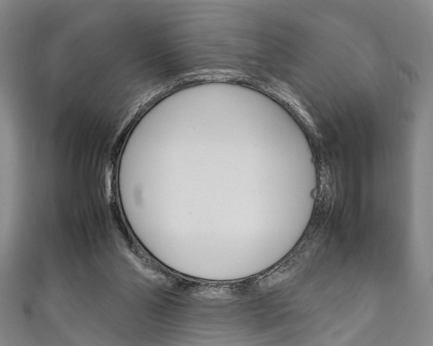 X0000111250110200907021027