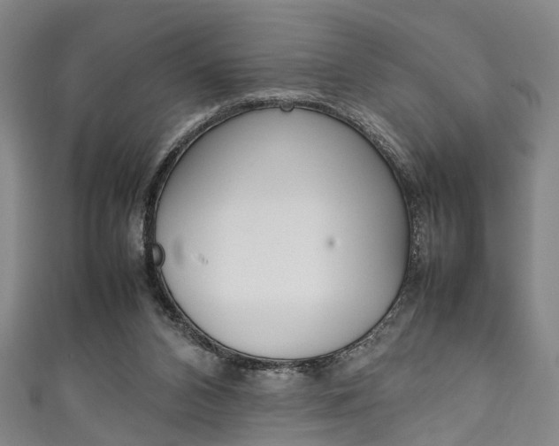 X0000111250112200907021027