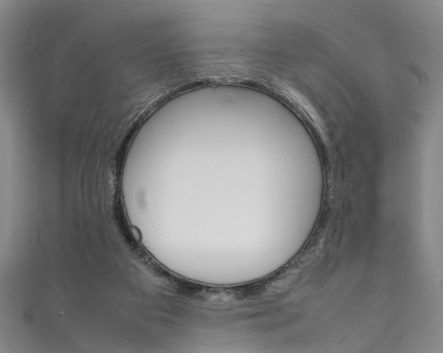 X0000111250113200907021027