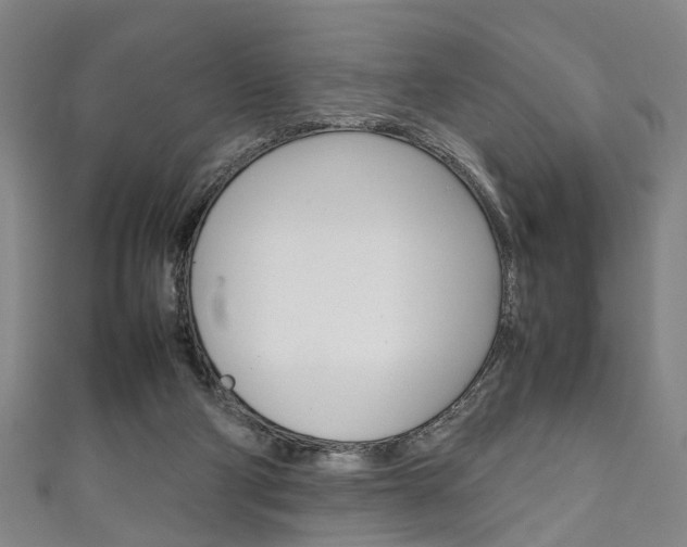 X0000111250114200907021027