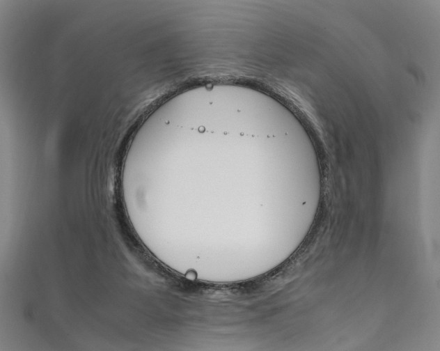 X0000111250115200907021027