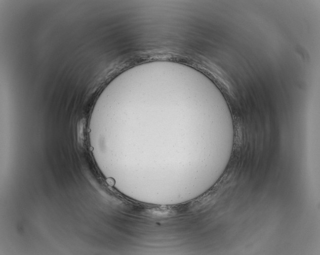 X0000111250118200907021027