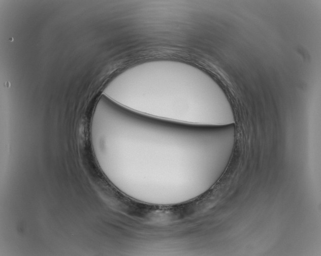 X0000111250119200907021027