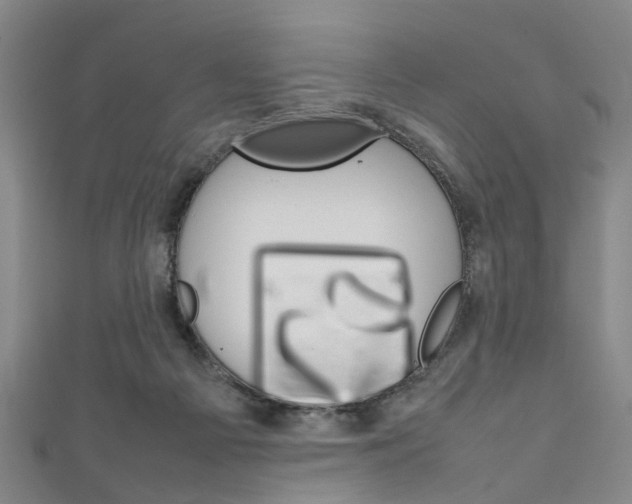 X0000111250121200907021027