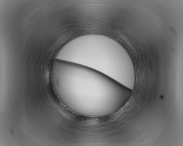 X0000111250124200907021027
