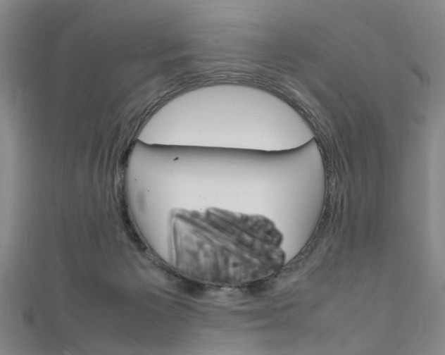 X0000111250125200907021027