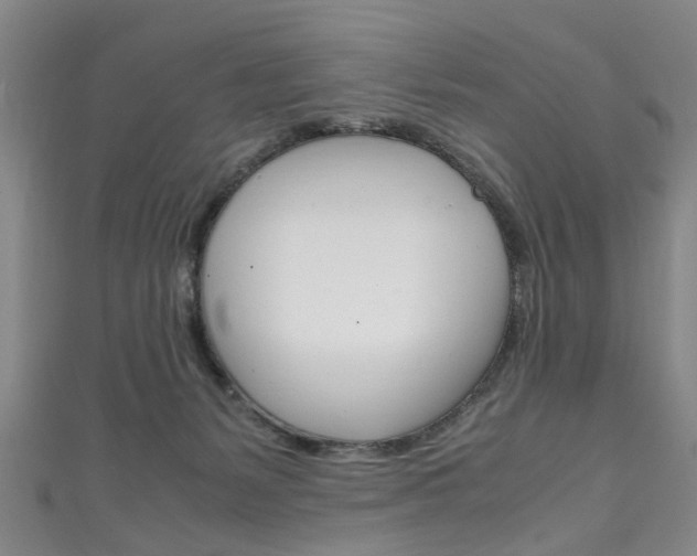 X0000111250127200907021027
