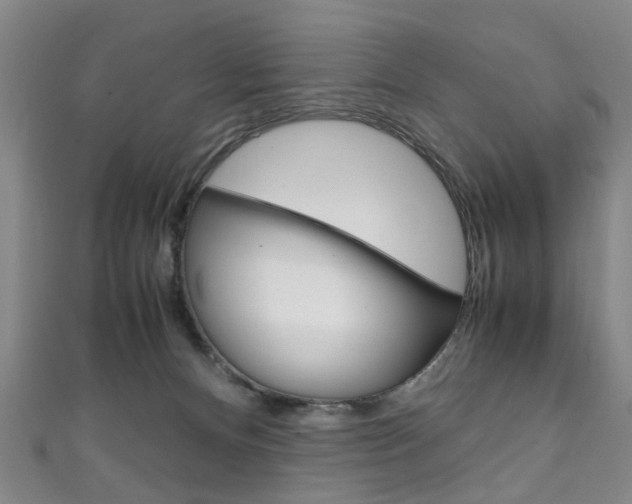 X0000111250128200907021027