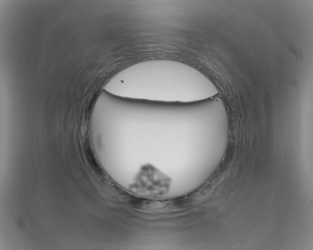 X0000111250129200907021027