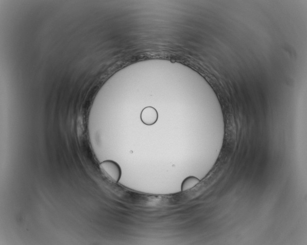 X0000111250130200907021027