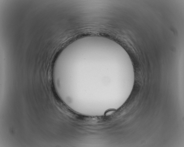 X0000111250131200907021027